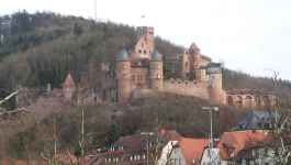 Tor