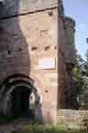 Tor